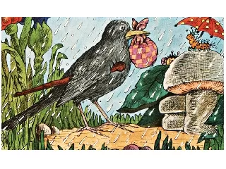 A nagyravágyó feketerigó diafilm