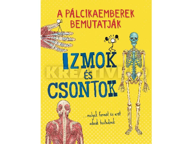 A PÁLCIKAEMBEREK BEMUTATJÁK: IZMOK ÉS CSONTOK