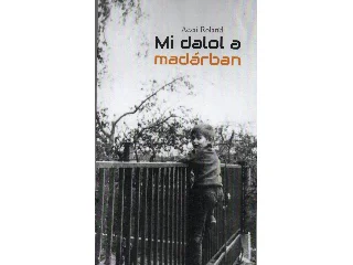 ACSAI ROLAND: MI DALOL  A MADÁRBAN