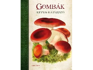 ALDAVE, MARIA: GOMBÁK - KÉPES HATÁROZÓ