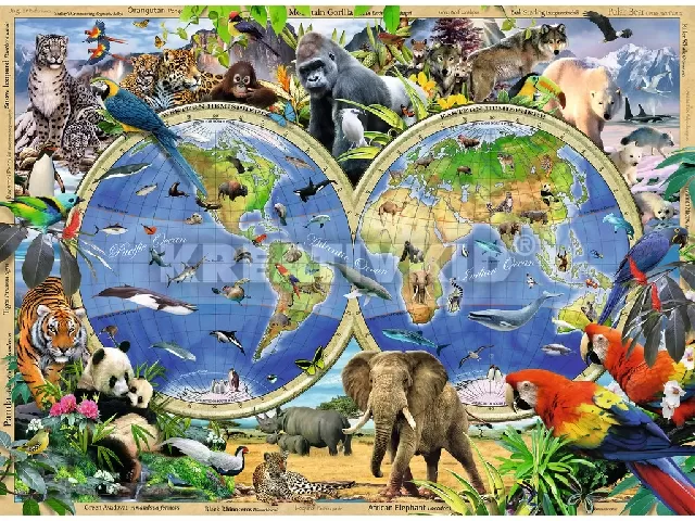 Állatok a világ körül - 300 db-os XXL puzzle