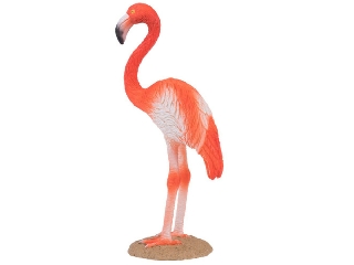 Amerikai flamingó