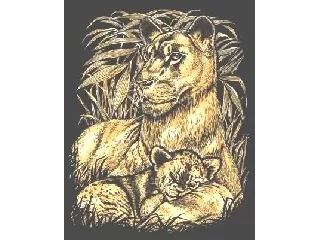 Arany képkarcoló-Oroszlán a kölykével