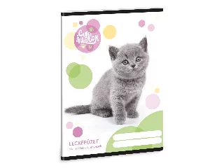 Ars Una Cuki Állatok - Brit rövidszõrû macska A/5 leckefüzet