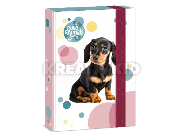 Ars Una Cuki állatok-Tacskó A/5 füzetbox