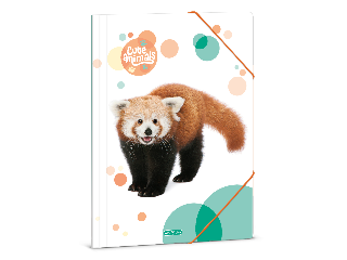 Ars Una Cuki Állatok-Vörös Panda A/4 dosszié