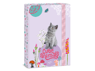 Ars Una Cute Animals-kitten A/4 füzetbox