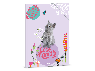 Ars Una Cute Animals-kitten A/4 gumis dosszié