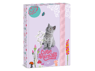Ars Una Cute Animals-Kitten A/5 füzetbox