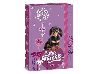 Ars Una Cute Animals-puppy A/4 füzetbox