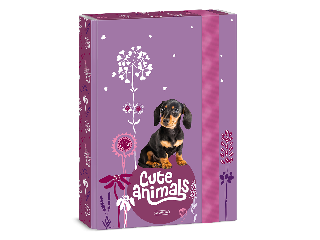 Ars Una Cute Animals-Puppy A/5 füzetbox