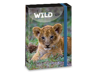 Ars Una Máté Bence The Eyes of the Wild - Lion A/4 füzetbox