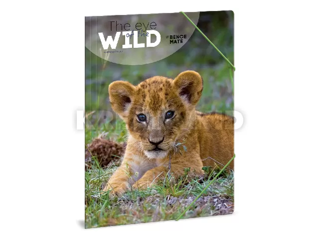 Ars Una Máté Bence The Eyes of the Wild - Lion A/4 gumis dosszié