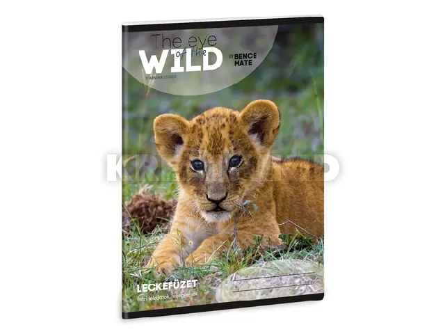 Ars Una Máté Bence The Eyes of the Wild - Lion A/5 leckefüzet