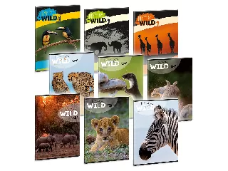 Ars Una Máté Bence The Eyes of the Wild A/4 extra kapcsos füzet-sima