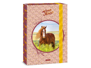 Ars Una My Sweet Horse A/4 füzetbox