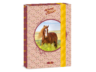 Ars Una My Sweet Horse A/5 füzetbox