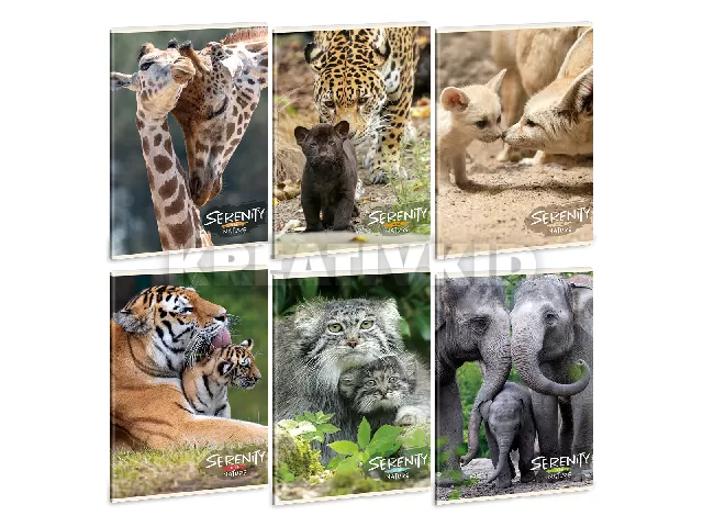 Ars Una Serenity of the Nature A/4 extra kapcsos füzet-négyzethálós