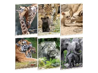 Ars Una Serenity of the Nature A/4 extra kapcsos füzet-négyzethálós