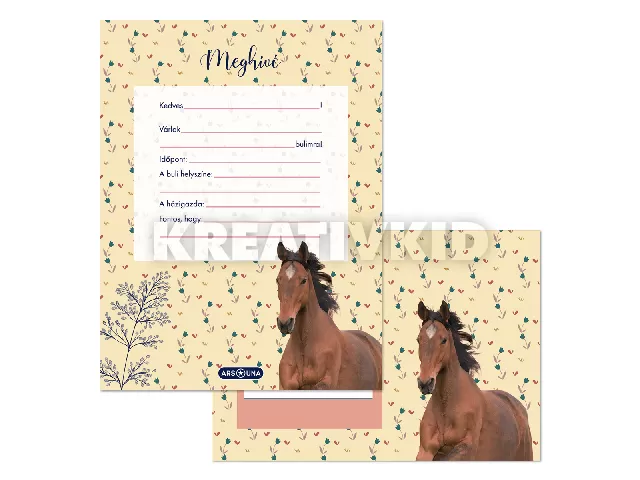 Ars Una Wild and Free partimeghívó borítékkal