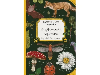 BAJZÁTH MÁRIA: ERDŐK-MEZŐK NÉPMESÉI