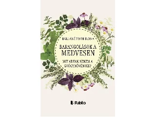 BALLÁNÉ TÓTH ILONA: BARANGOLÁSOK A MEDVESEN