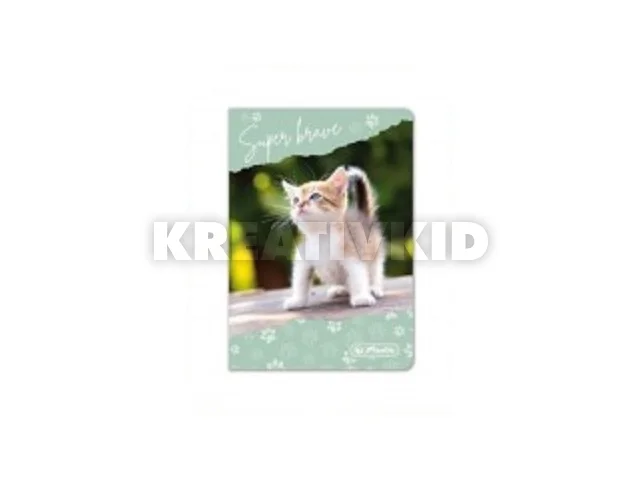 Bankkártyatartó 8 duplabetétes Cica