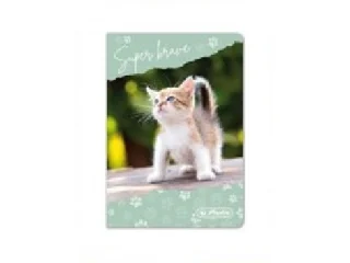 Bankkártyatartó 8 duplabetétes Cica