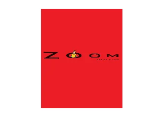 BÁNYAI ISTVÁN: ZOOM