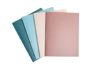 Bemutatómappa, 20 zsebes, A4, EXACOMPTA