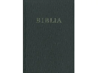 BIBLIA (REVIDEÁLT ÚJ FORDÍTÁS, NAGY CSALÁDI)