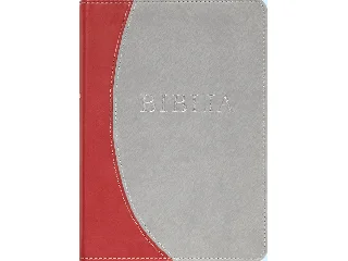 BIBLIA (REVIDEÁLT ÚJ FORDÍTÁS, PUHA TÁBLÁS, VARROTT)