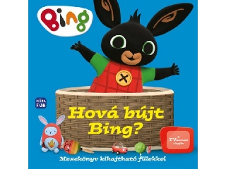 Bing - Hová bújt Bing? mesekönyv