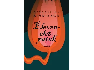 BIRGISSON, BERGSVEINN: ELEVENÉLET-PATAK