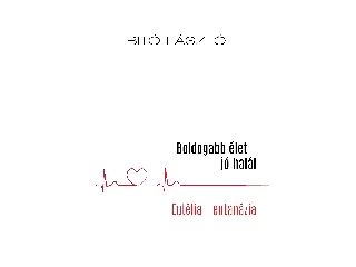 BITÓ LÁSZLÓ: BOLDOGABB ÉLET JÓ HALÁL