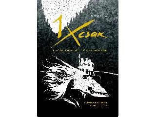 BÓCSI BÉLA: EGYSZERCSAK - KATARZISKALAUZ STOPPOSOKNAK