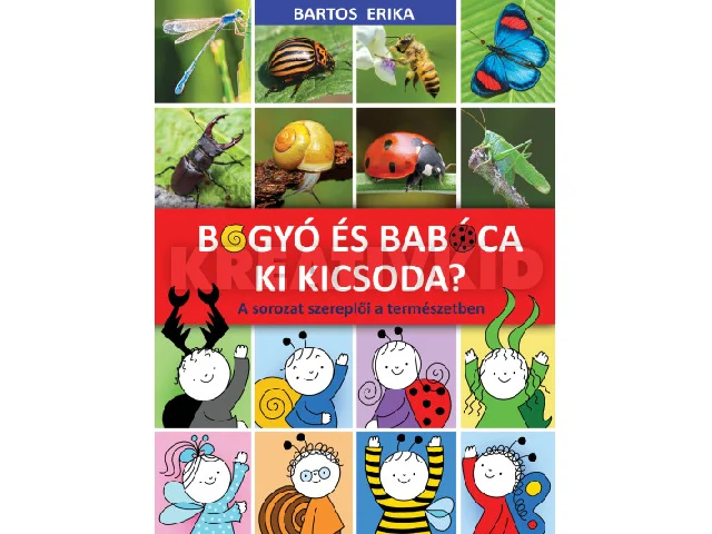 Bartos Erika: Bogyó és Babóca - Ki kicsoda?
