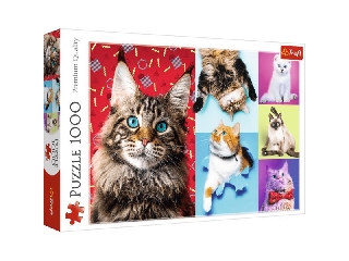 Boldog macskák 1000 darabos puzzle