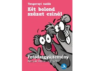 BOSNYÁK VIKTÓRIA-HEVÉRNÉ KANYÓ ANDREA: KÉT BOLOND SZÁZAT CSINÁL - FELADATGYŰJTEMÉNY BOSNYÁK  VIKTÓRIA REGÉNYÉHEZ