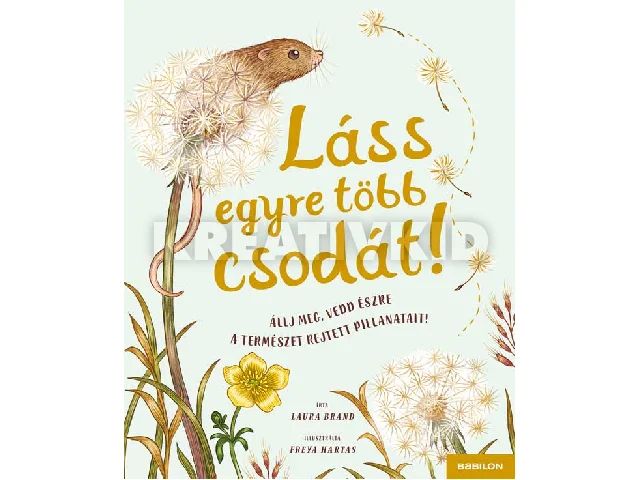 BRAND, LAURA: LÁSS EGYRE TÖBB CSODÁT! - ÁLLJ MEG, VEDD ÉSZRE A TERMÉSZET PILLANATAIT!