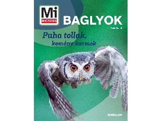 BRANDT, TANJA: MI MICSODA BAGLYOK - PUHA TOLLAK, KEMÉNY KARMOK