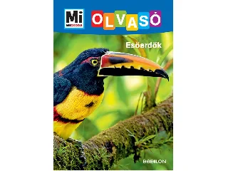 BRAUN, CHRISTINA: MI MICSODA OLVASÓ - ESŐERDŐK