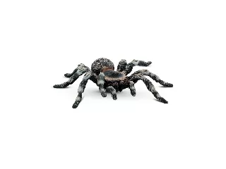 Bullyland Fehértérdű madárpók 