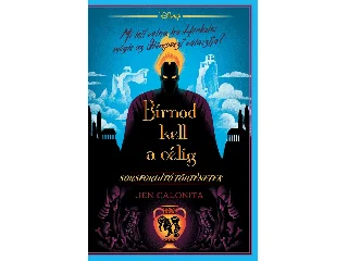 CALONITA, JEN: DISNEY - SORSFORDÍTÓ TÖRTÉNETEK - BÍRNOD KELL A CÉLIG