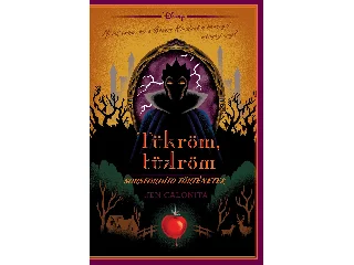 CALONITA, JEN: DISNEY - SORSFORDÍTÓ TÖRTÉNETEK - TÜKRÖM, TÜKRÖM