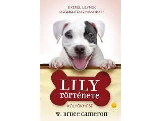 CAMERON, BRUCE W.: LILY TÖRTÉNETE - KÖLYÖKMESE