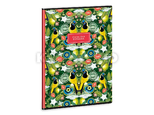 Catalina Estrada Carriqui A/4 extra kapcsos füzet-sima