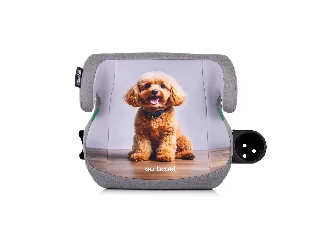 Chipolino GO BOOST autós ülésmagasító 125-150 cm - poodle