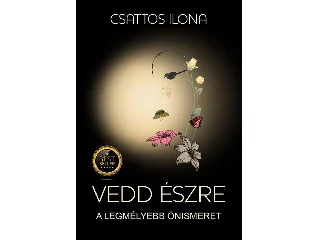 CSATTOS ILONA: VEDD ÉSZRE