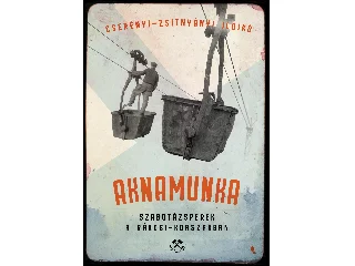 CSERÉNYI- ZSITNYÁNYI ILDIKÓ: AKNAMUNKA